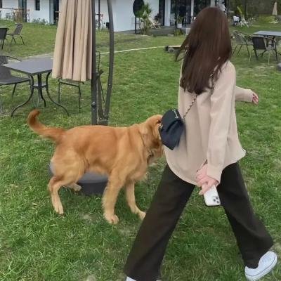 当你迷失在黑暗中